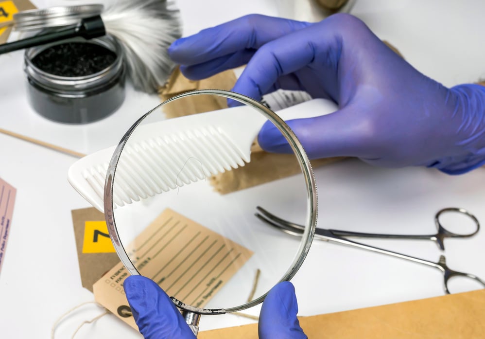 Person Takes Hair from Comb for DNA Sample